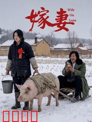 嫁妻：血泪交易