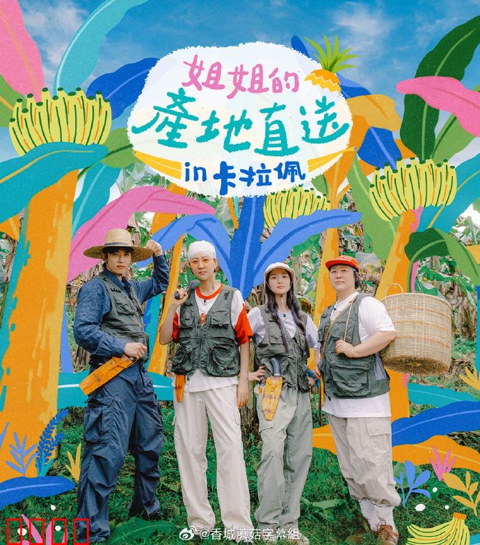 姐姐家的产地直送3：爱的田园