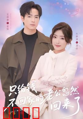只给钱不回家的老公忽然回来了：惊变之夜