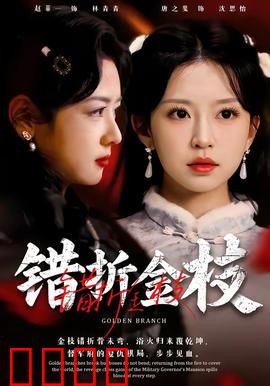 错折金枝：公主错爱成殇