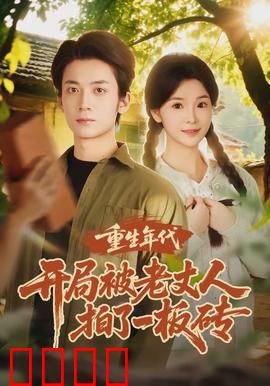 重生年代开局被老丈人拍了一板砖：逆袭翻身