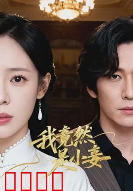 我竟然是小妾：穿越逆袭成宠妾