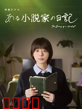 某小说家的日记：虚实交织的迷局