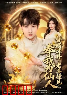 赘婿炼丹，老婆撞见，奉我为仙人：废柴逆袭