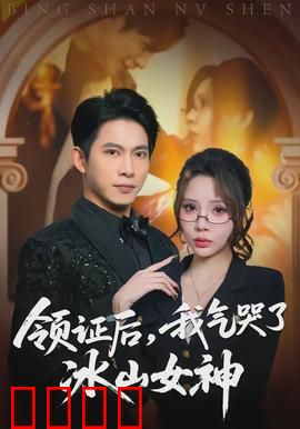 领证后，我气哭了冰山女神：爆笑反击