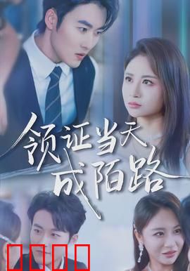 领证当天成陌路：闪婚秒变离婚