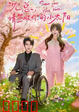 沈总，请签收你的小太阳：甜蜜追妻路