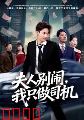 夫人别闹我只做司机：隐婚司机宠妻记