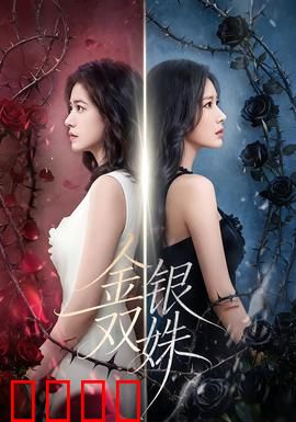 金银双姝：姐妹争锋