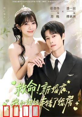救命！新婚夜，我和姐姐走错了婚房：爆笑乌龙