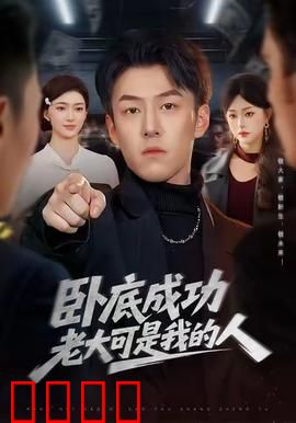 卧底成功老大可是我的人：兄弟情深，正义难全