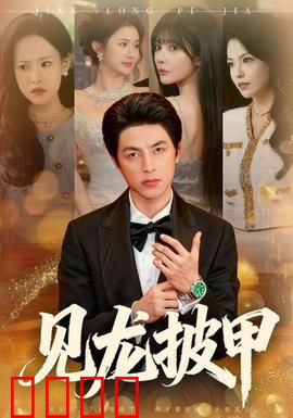 见龙披甲：英雄迟暮的悲歌
