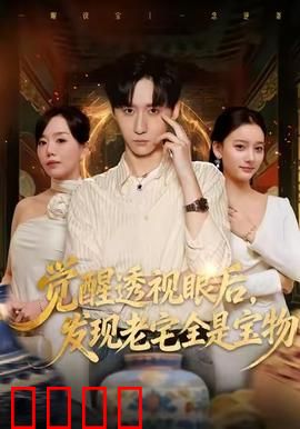 觉醒透视眼后，发觉老宅全是宝物：透视寻宝逆袭