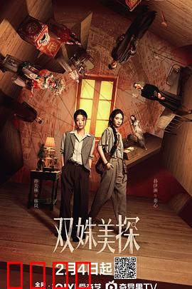 双姝美探：暗夜追凶