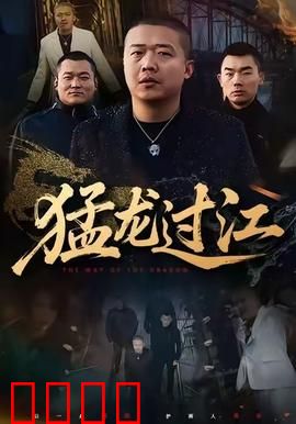 猛龙过江：武打传奇