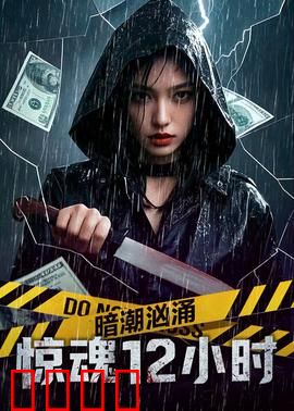 暗潮汹涌之惊魂12小时：致命追凶