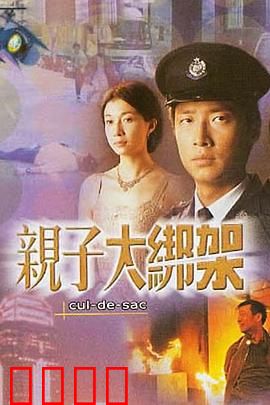 亲子大绑架粤语：孤注一掷的救赎