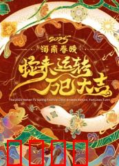 2025河南春晚：中原奇观