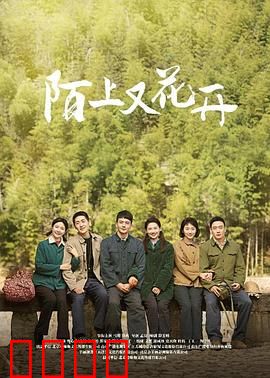 陌上又花开：破茧成蝶