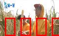 台湾第一等：秘境寻宝
