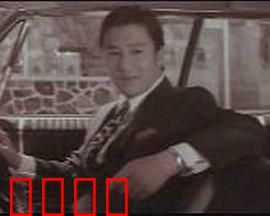 青春恋歌：初恋与成长