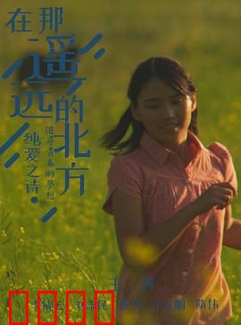 在那遥远的北方：极地迷途