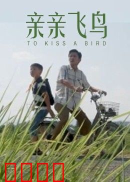 亲亲飞鸟：少年与鸟的约定