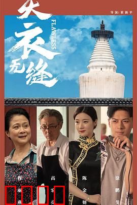 天衣无缝2024：完美犯罪的漏洞