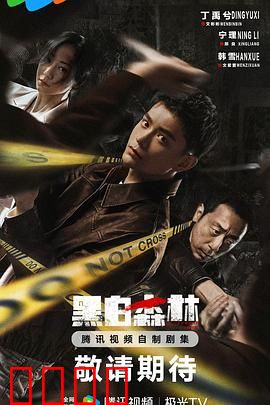 黑白森林2024：暗夜终章