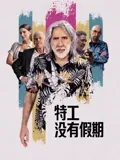 特工没有假期：菜鸟特工逆袭记