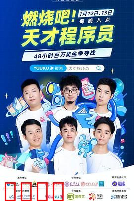 燃烧吧！天才程序员：代码之战