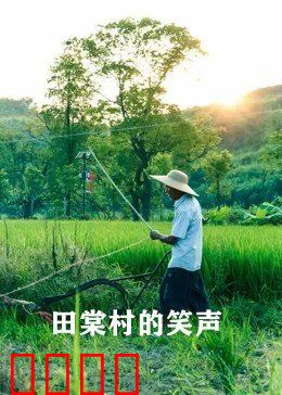 田棠村的笑声：致富新篇