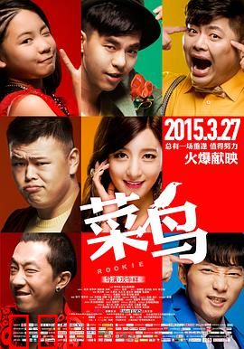 菜鸟2015：逆袭之路