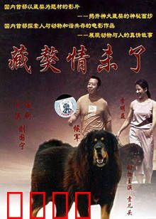 藏獒情未了：生死相依