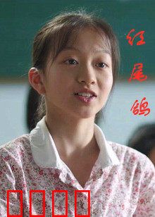红尾鸽：血色誓言