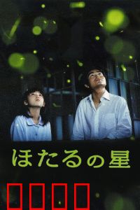 萤火虫之星：夏夜璀璨的约定