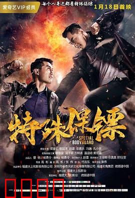 特殊保镖：铁血守护