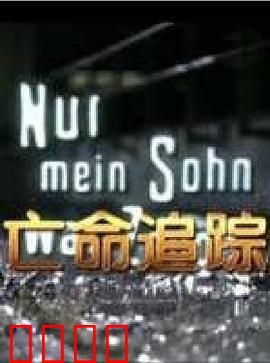 亡命追踪：绝望逃亡路