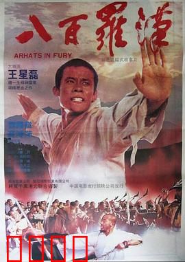 八百罗汉：少林僧兵抗日传奇
