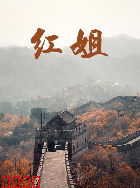 红姐2017：母爱惊天反转