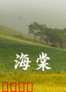 海棠：花下重逢