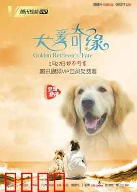 犬爱奇缘：跨越物种的羁绊