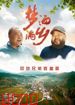 梦洒满乡：异乡人的归途
