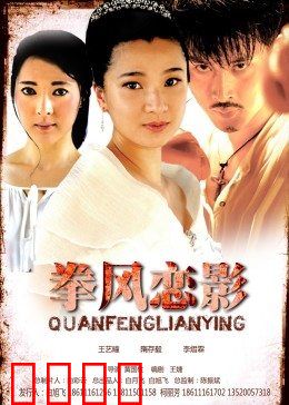 拳风恋影：铁拳情缘