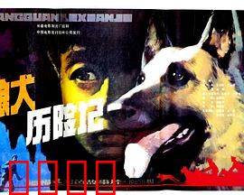狼犬历险记：忠犬救主