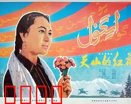 天山的红花：哈萨克女队长的奋斗