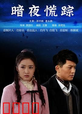 暗夜慌踪：梦境与现实交织
