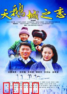 天鹅城之恋：都市爱情童话