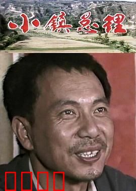 小镇总理：草根村官的逆袭