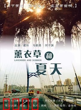 薰衣草和夏天：紫色花海之恋